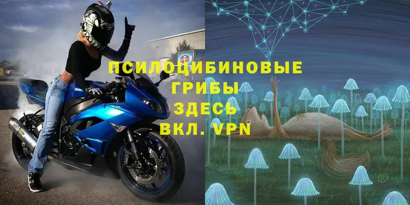 Галлюциногенные грибы GOLDEN TEACHER  гидра как войти  Богородск 